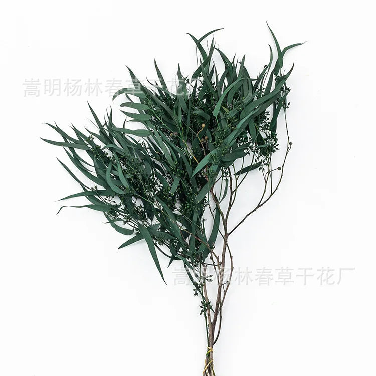 Branches d'eucalyptus séché naturel 43cm, pour douche et vasque (vue 9) - Nesty