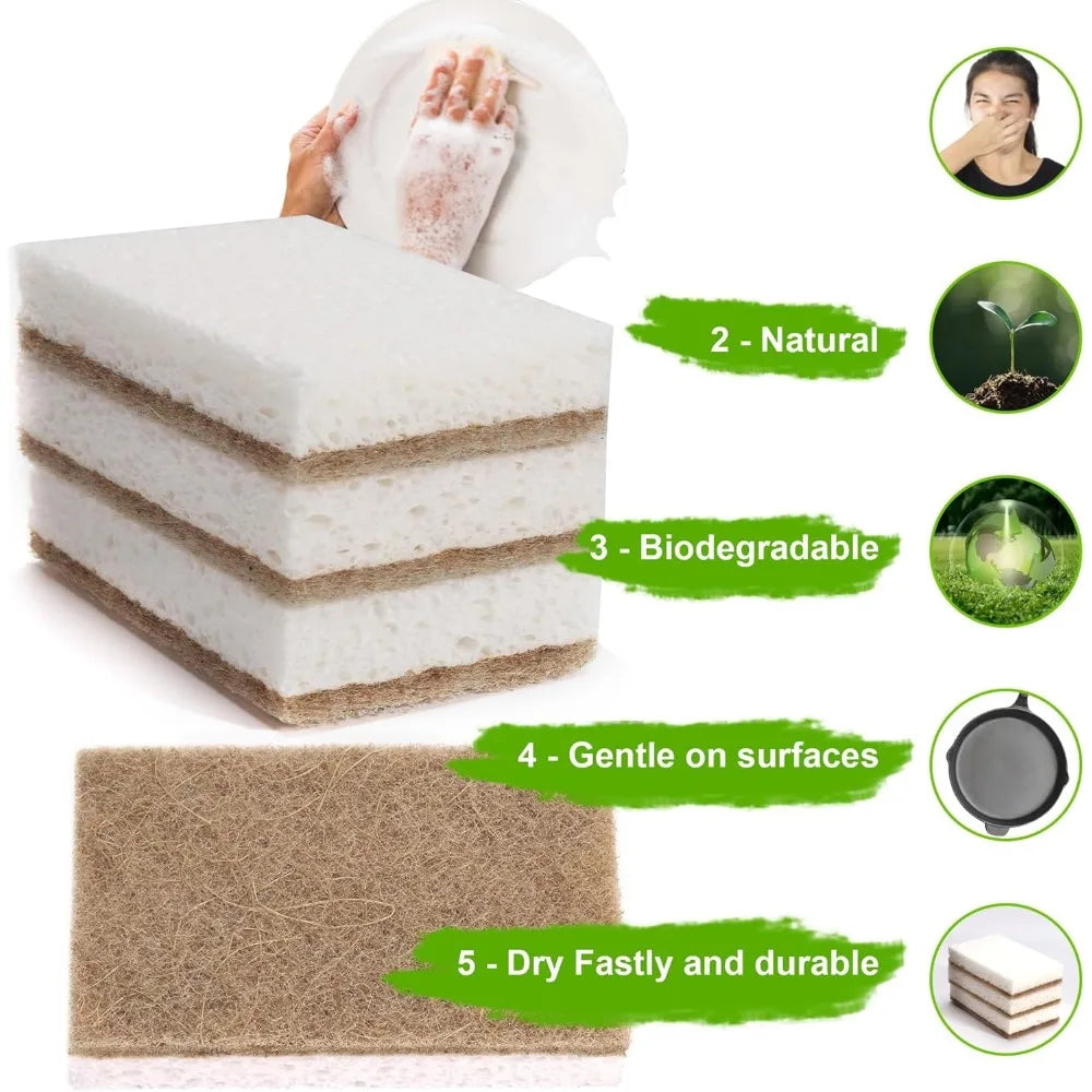 Lot de 12 éponges compostables en fibre de coco - Nesty (vue 2)