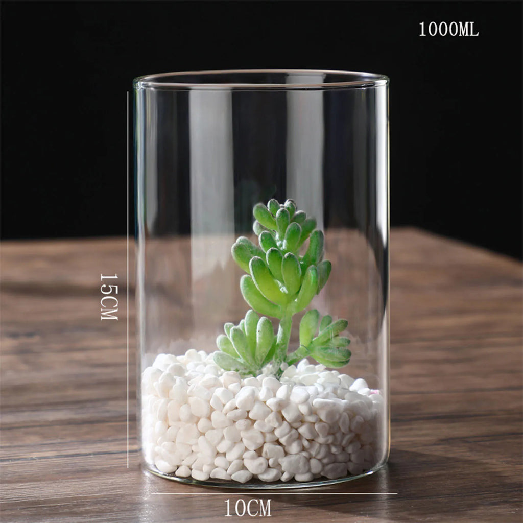 Vase cylindrique en verre transparent, culture hydroponique - Nesty (vue 11)