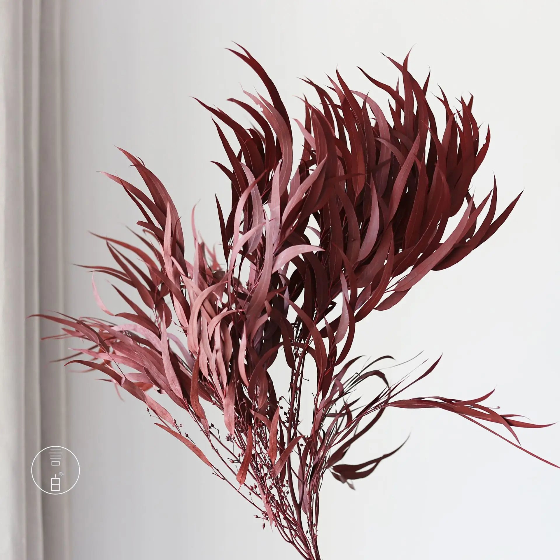 Branches d'eucalyptus séché naturel 43cm, pour douche et vasque (vue 8) - Nesty