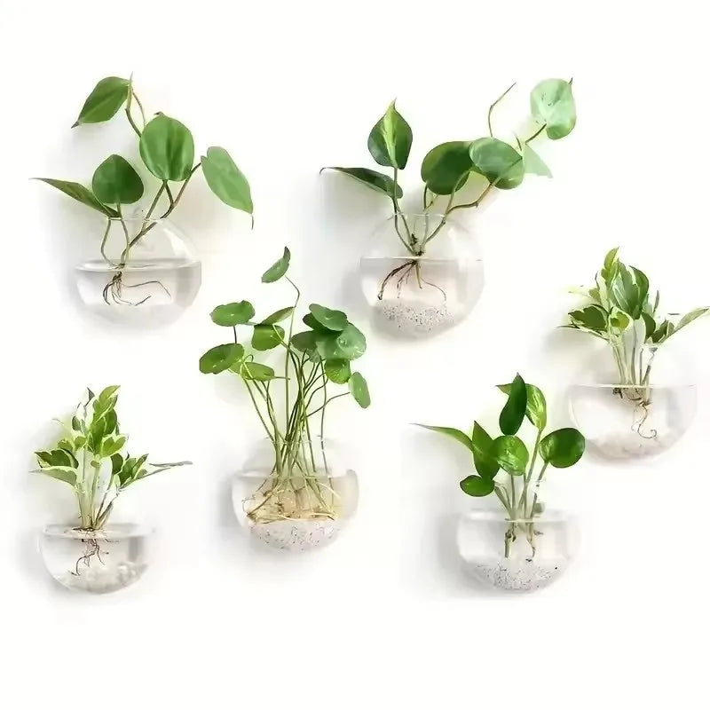 Terrarium mural en verre Nesty - Vase suspendu pour bouture (vue 6)