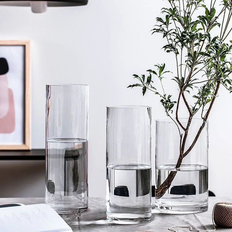 Vase cylindrique en verre transparent, culture hydroponique - Nesty (vue 4)