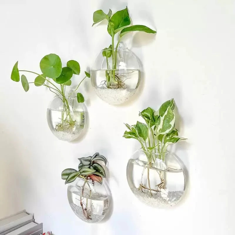 Terrarium mural en verre Nesty - Quatre vases muraux avec boutures, mur blanc