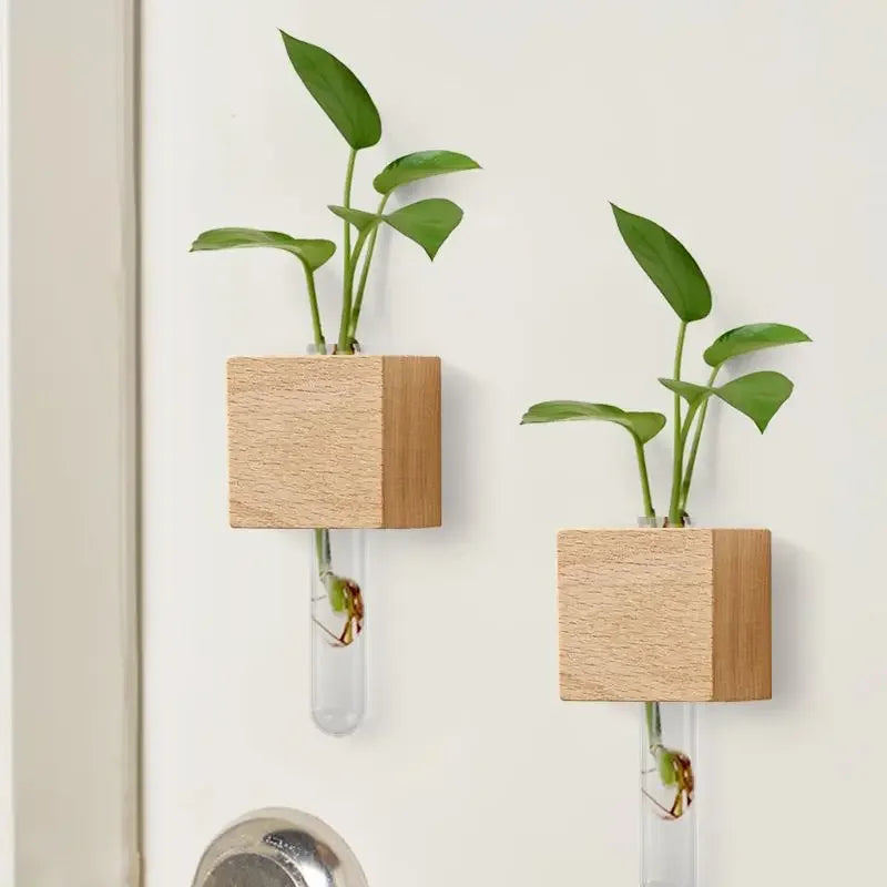 Mini vase tube aimanté en bois Nesty - Gros plan sur deux modèles avec pothos