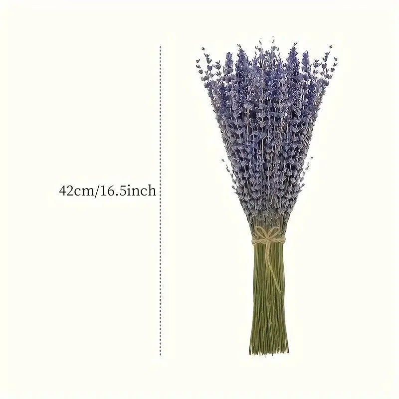 Bouquets de lavande séchée naturelle, 50 ou 100 tiges (vue 6) - Nesty