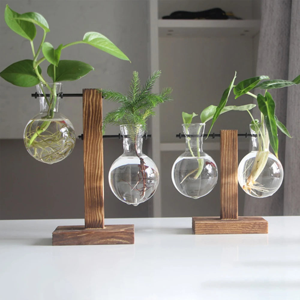 Vase hydroponique en verre sur pied bois Nesty - Deux vases avec boutures, étagère en fond