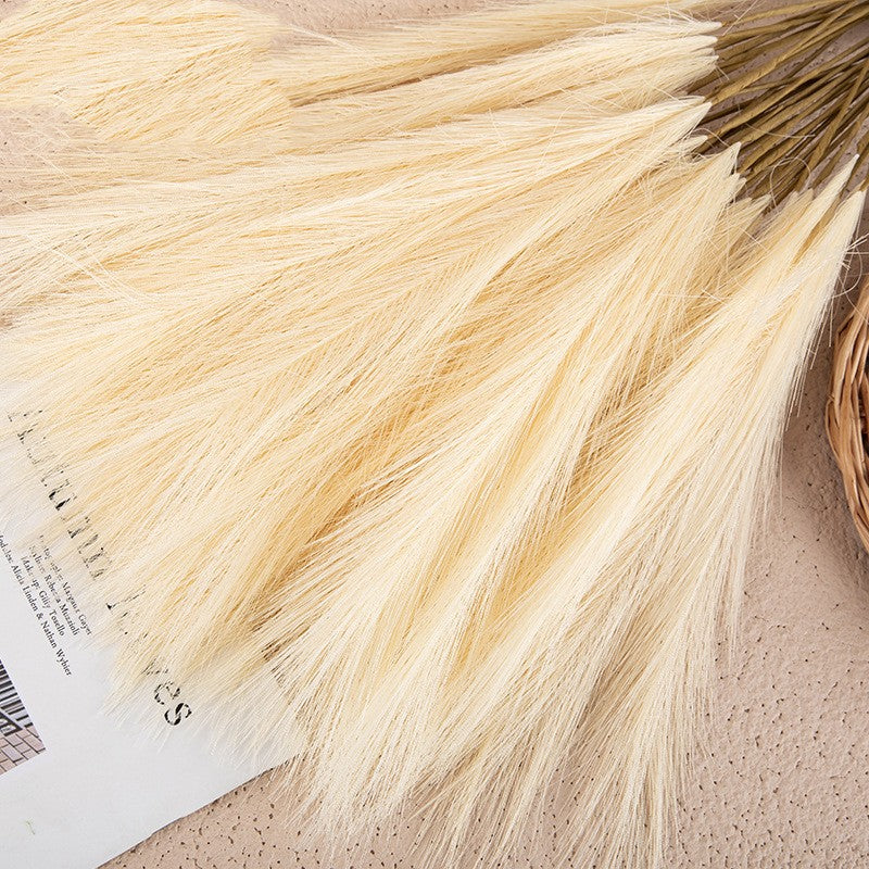 Tiges de pampa séchée mini format Nesty - Déco naturelle bohème toutes saisons (vue 10)